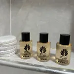 公寓 Comforlu Yeni Sultanahmet