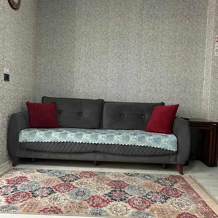 Comforlu Yeni Sultanahmet 公寓 伊斯坦布尔